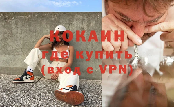 прущие крисы Няндома