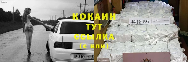 прущие крисы Няндома
