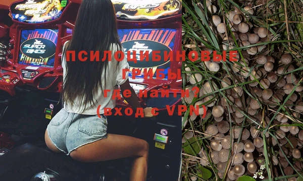 прущие крисы Няндома