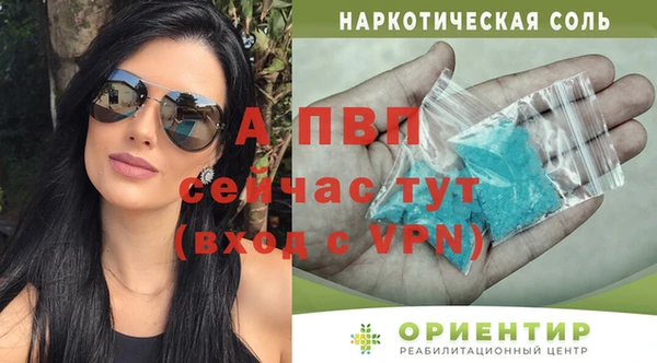 стаф Новодвинск