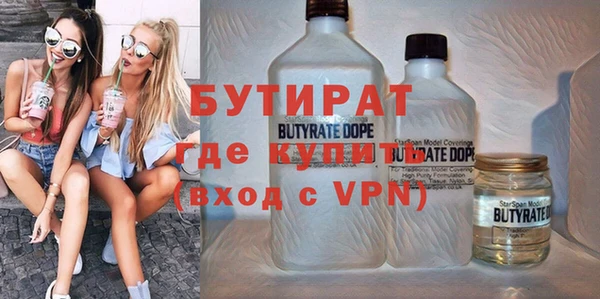индика Осинники