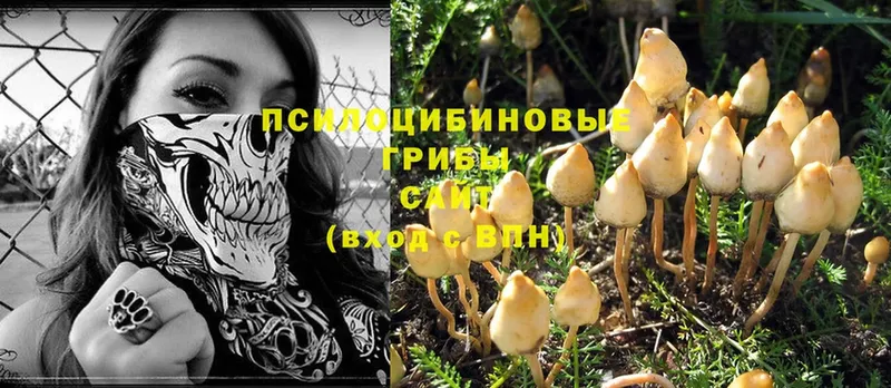 Псилоцибиновые грибы MAGIC MUSHROOMS Бугуруслан