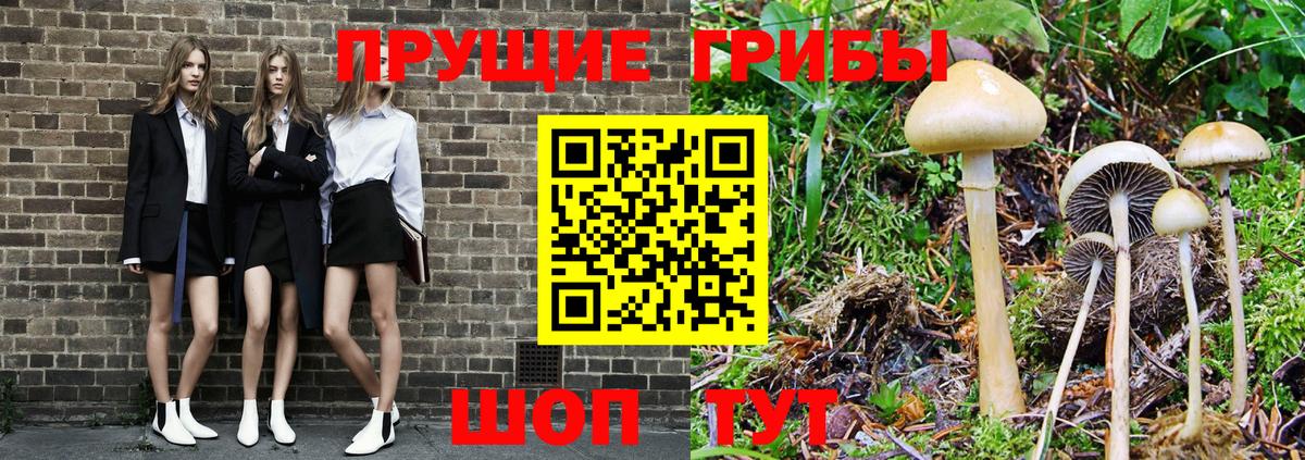 Псилоцибиновые грибы мухоморы Бугуруслан