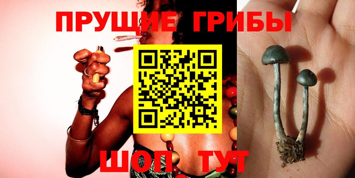 Бугуруслан  Галлюциногенные грибы мухоморы  Вход с VPN 